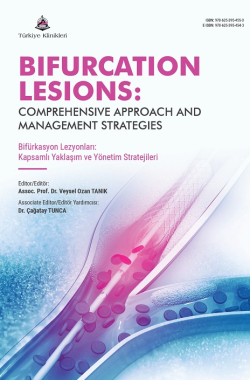 Bifurcation_Lesionskapak